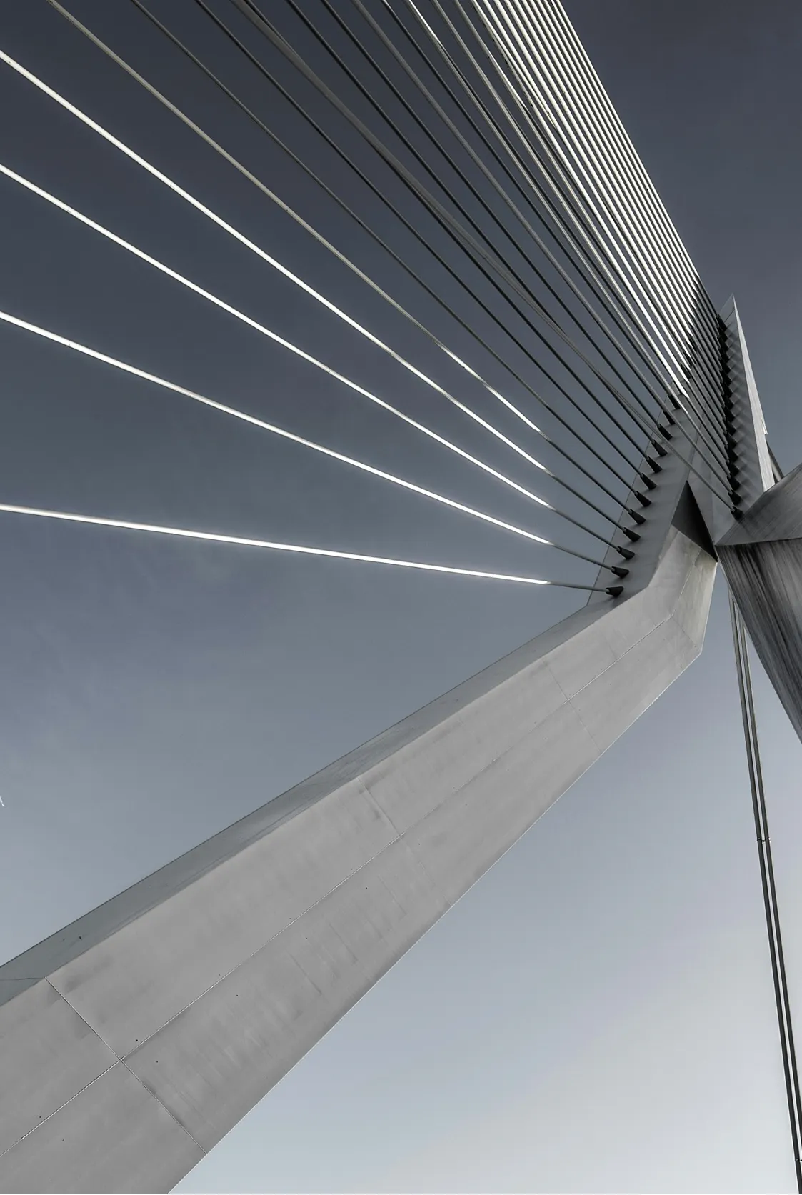 conocenos Colegio Caminos Cantabria